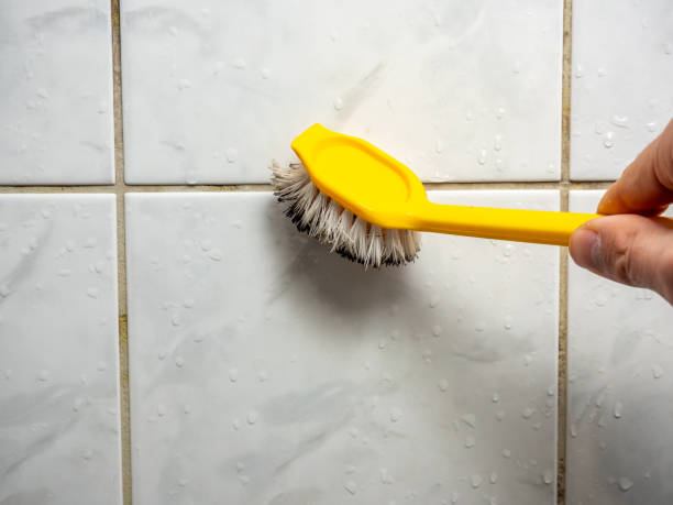Best Mold Removal Process  in Enoch, UT
