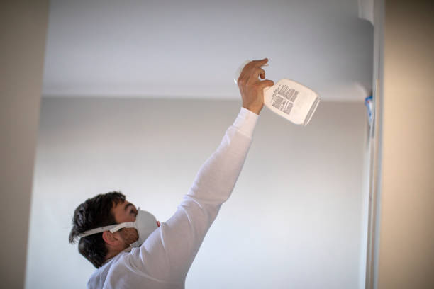 Professional Mold Removal in Enoch, UT