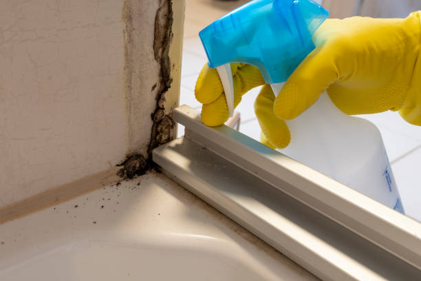 Best Mold Cleaning Services  in Enoch, UT