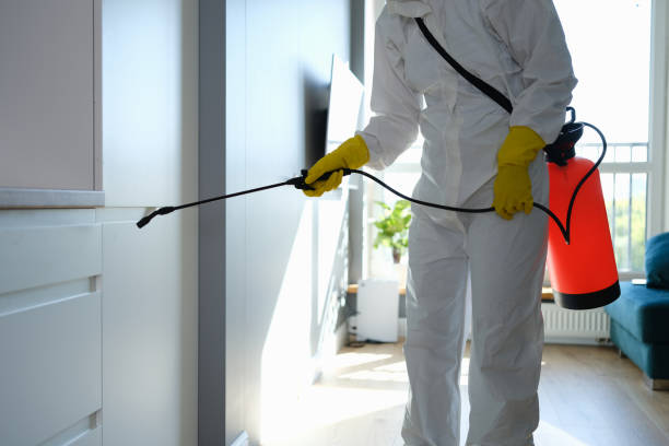 Office Mold Removal Services in Enoch, UT